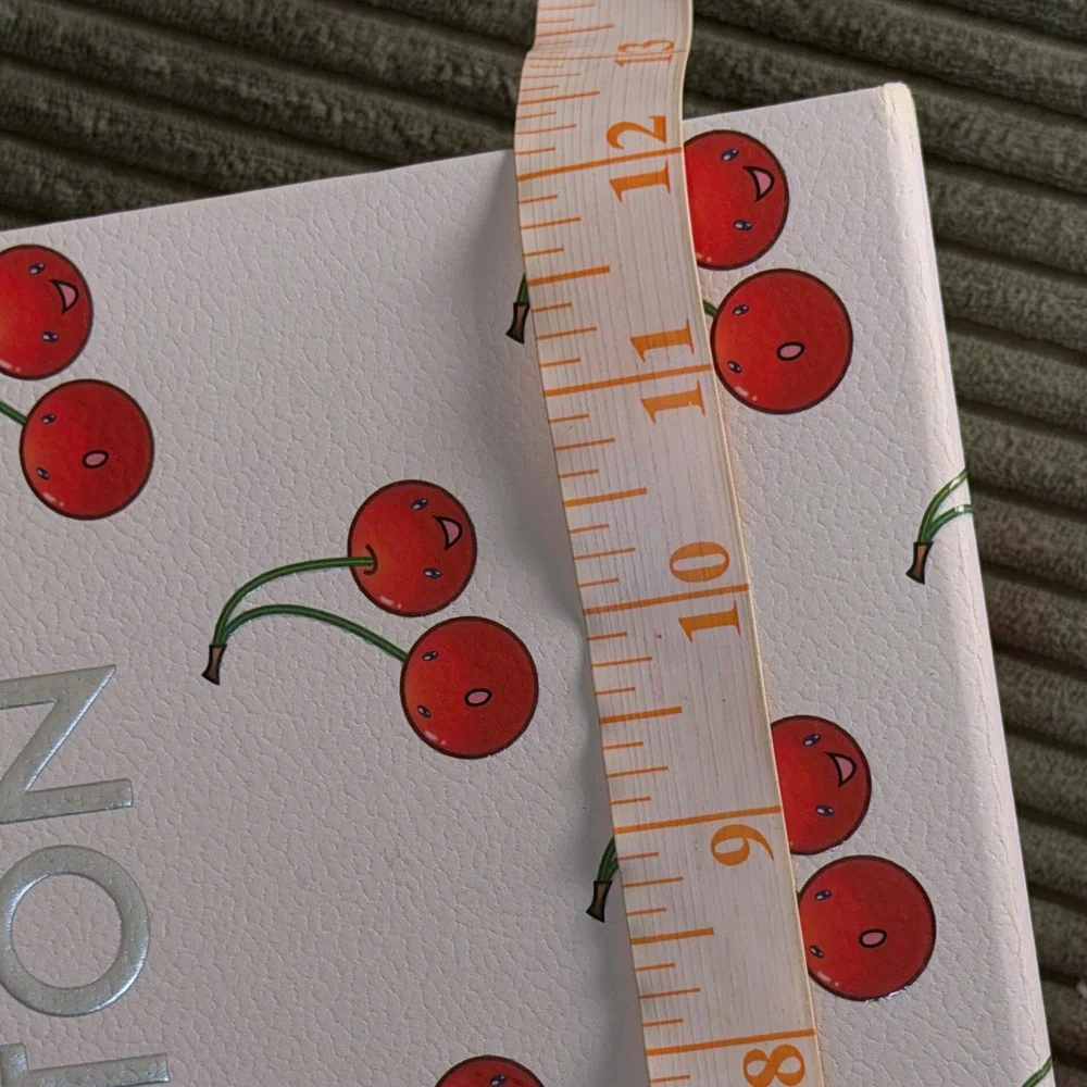 Louis Vuitton Takashi Murakami Cherry Empty Gift Box Shoebox 🍒 LV x TM 2025 🍒